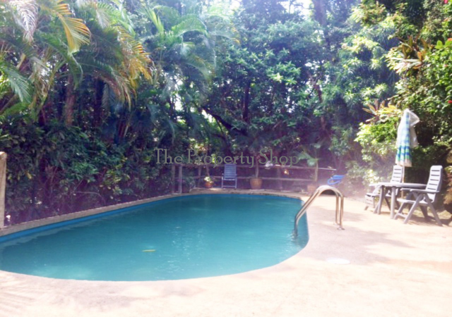 lorem ipsum dolor sit