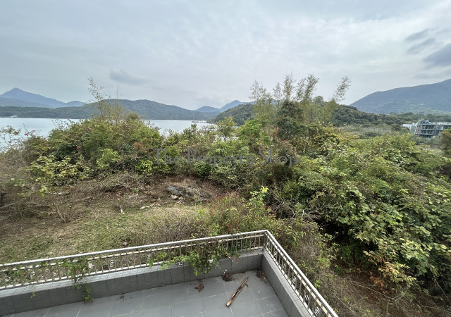 lorem ipsum dolor sit