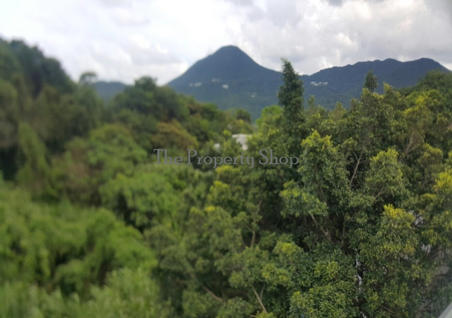 lorem ipsum dolor sit