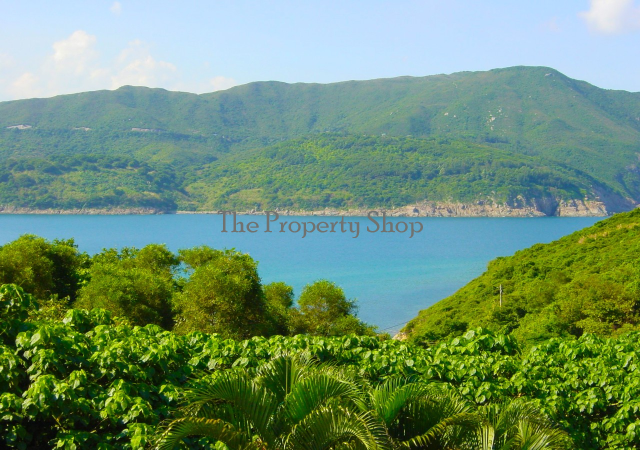 lorem ipsum dolor sit