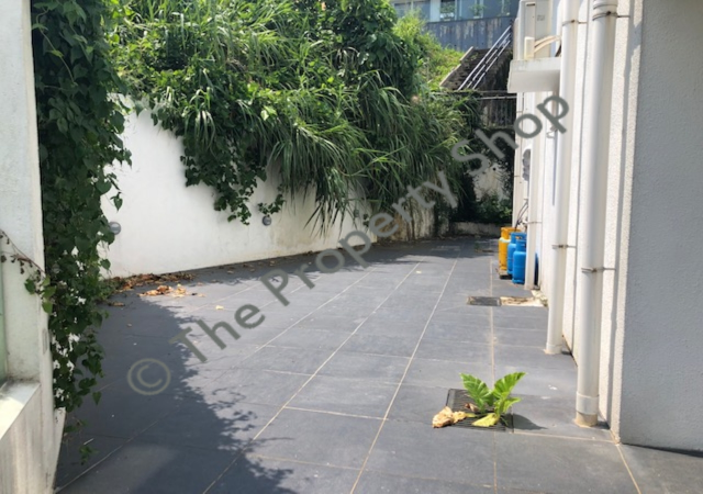 lorem ipsum dolor sit