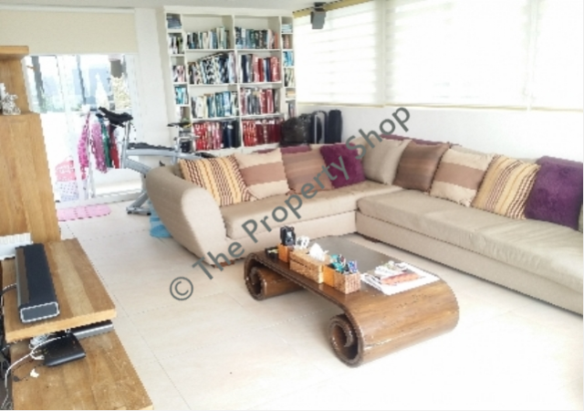 lorem ipsum dolor sit