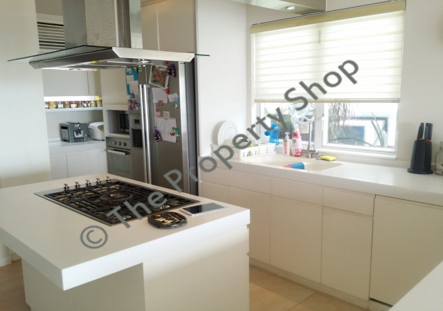 lorem ipsum dolor sit