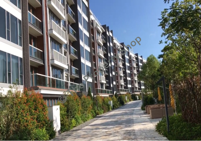 lorem ipsum dolor sit