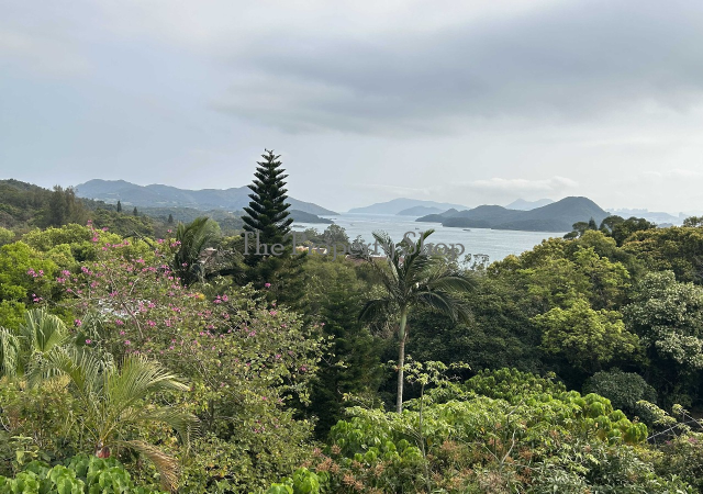 lorem ipsum dolor sit