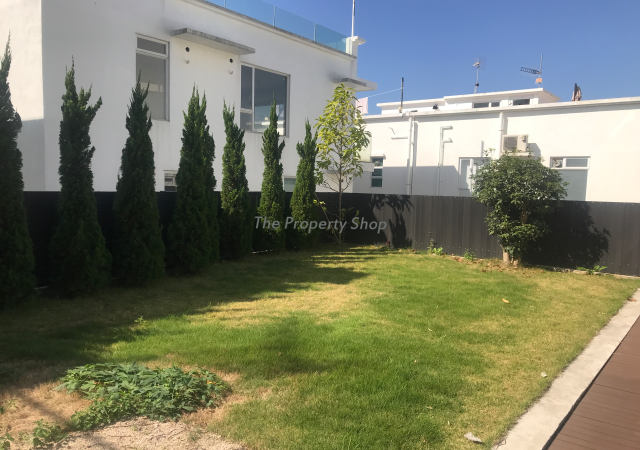 lorem ipsum dolor sit