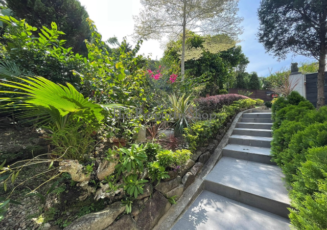 lorem ipsum dolor sit